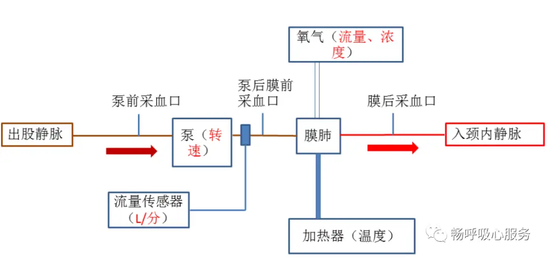 52刷赞软件的工作原理是什么使用时有哪些注意事项
