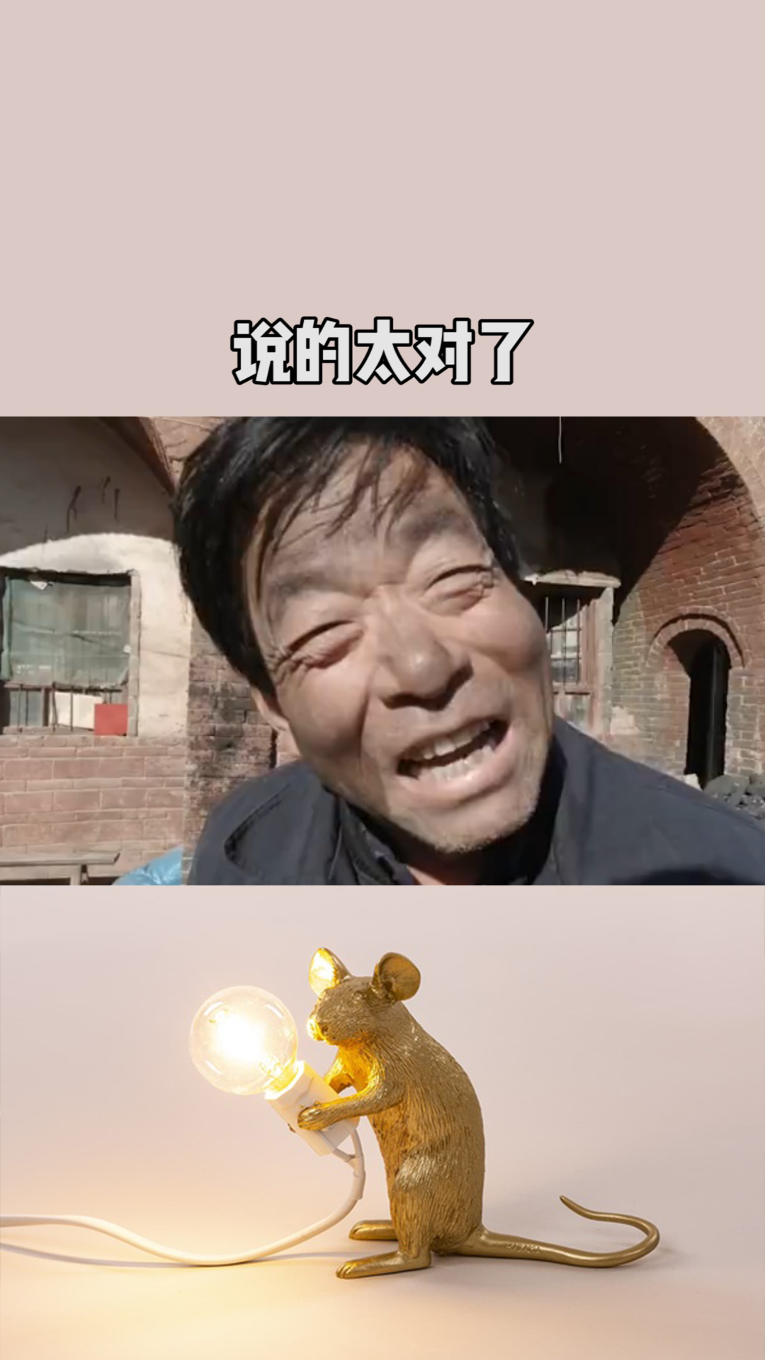 你刷到婆婆点赞的视频了吗