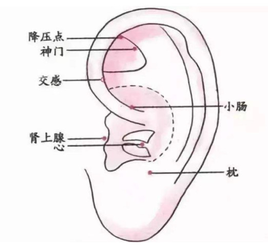 为什么在耳觅刷点赞是提升互动的有效途径