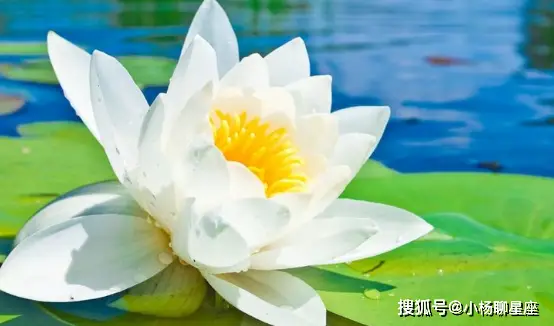 南刷荷赞如何改变现代生活方式