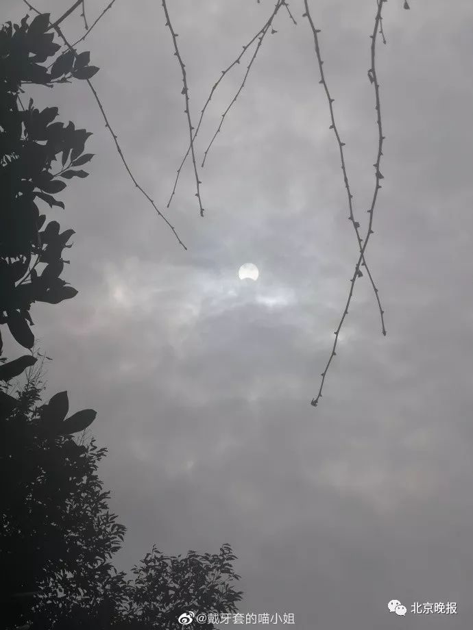 为什么小屋摄影大赛中刷赞现象频发