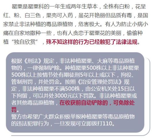 亲爱的读者当你刷到我的内容时能否给我一个赞表达你的支持