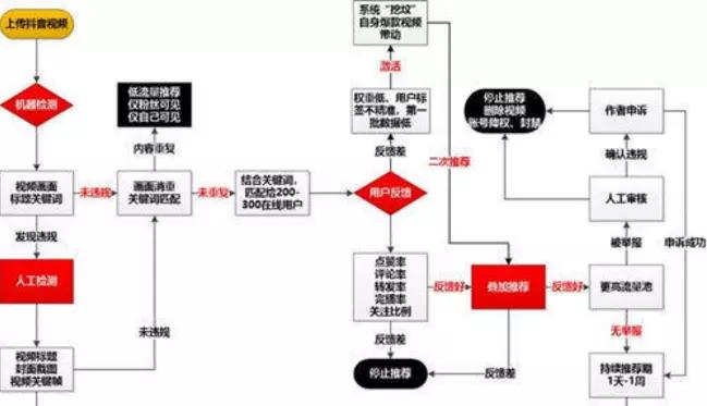 刷赞抖音粉丝是否会导致账号长期权重下降和严重封禁风险