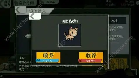 在少女前线游戏中宿舍刷赞怎么操作才高效
