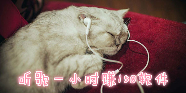 刷宝短视频点赞的内容有哪些