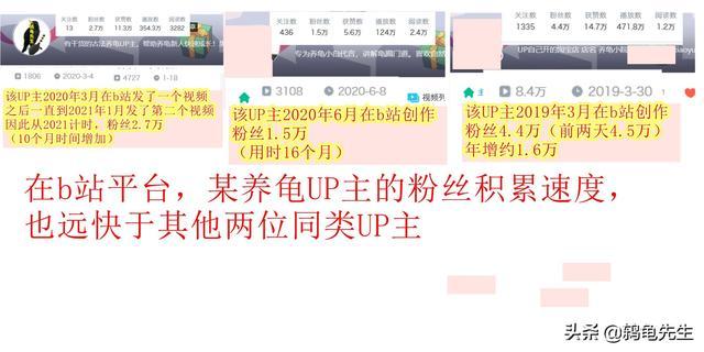 你是否参与过快手互赞互动来提升粉丝数量