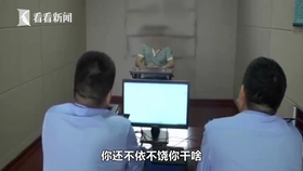 冷初云刷赞行为有何影响和后果