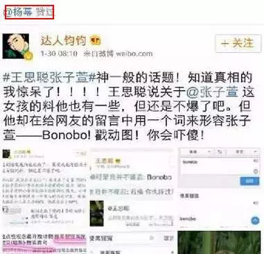 刷微博点赞真的可行吗专家观点与实用建议