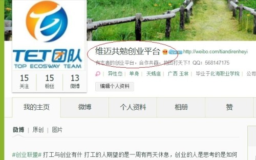 如何在绿洲平台上快速增加点赞和粉丝