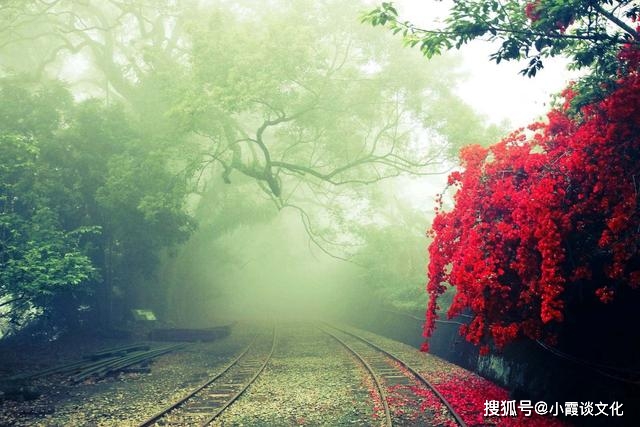 在竞争激烈的社交媒体环境中刷赞宣传说说如何提升内容可见度