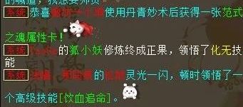 如何利用小妖旧版本的精美化刷赞功能提升互动