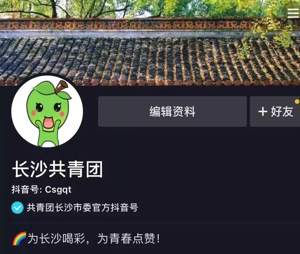 在抖音平台上如何正确使用刷行为来提升视频点赞量并获得更好效果