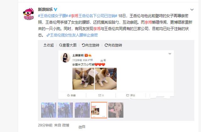 如何让小可爱在社交平台刷赞吸引粉丝