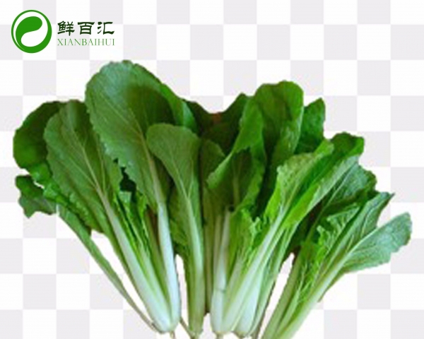小白菜带刷赞服务是否真实有效且值得用户信赖