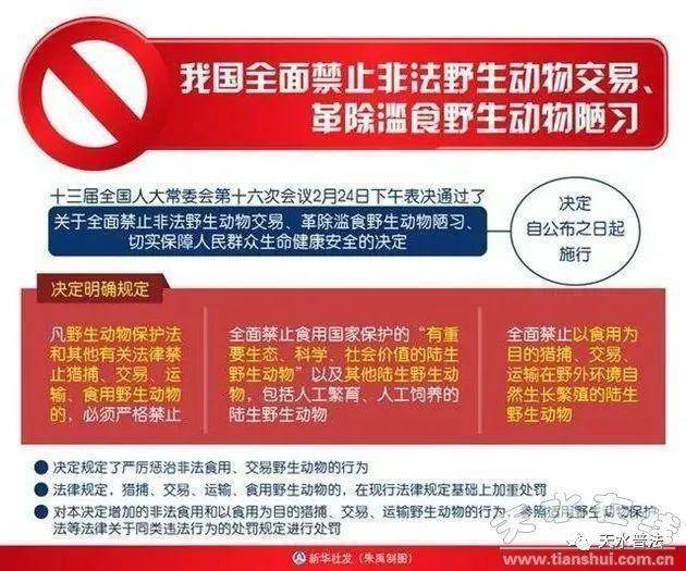 在当今数字化时代违法刷赞行为为何被法律禁止它有哪些法律和道德后果