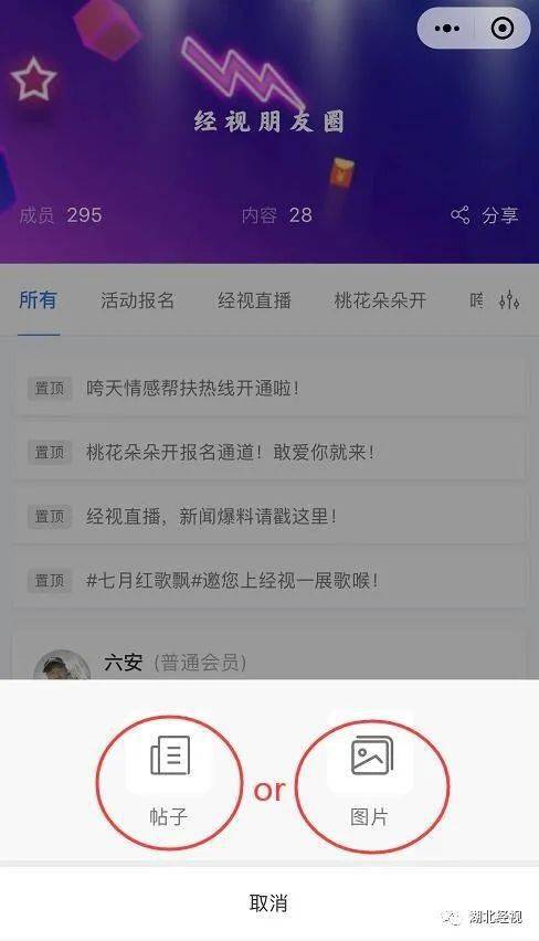 墨言刷赞网站分享平台如何帮助用户增加点赞