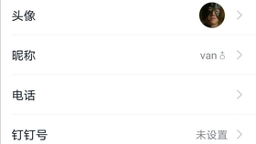 在智能手机上钉钉刷赞外挂的使用指南是什么