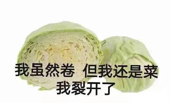 在快手刷赞一块钱能买到100个赞吗