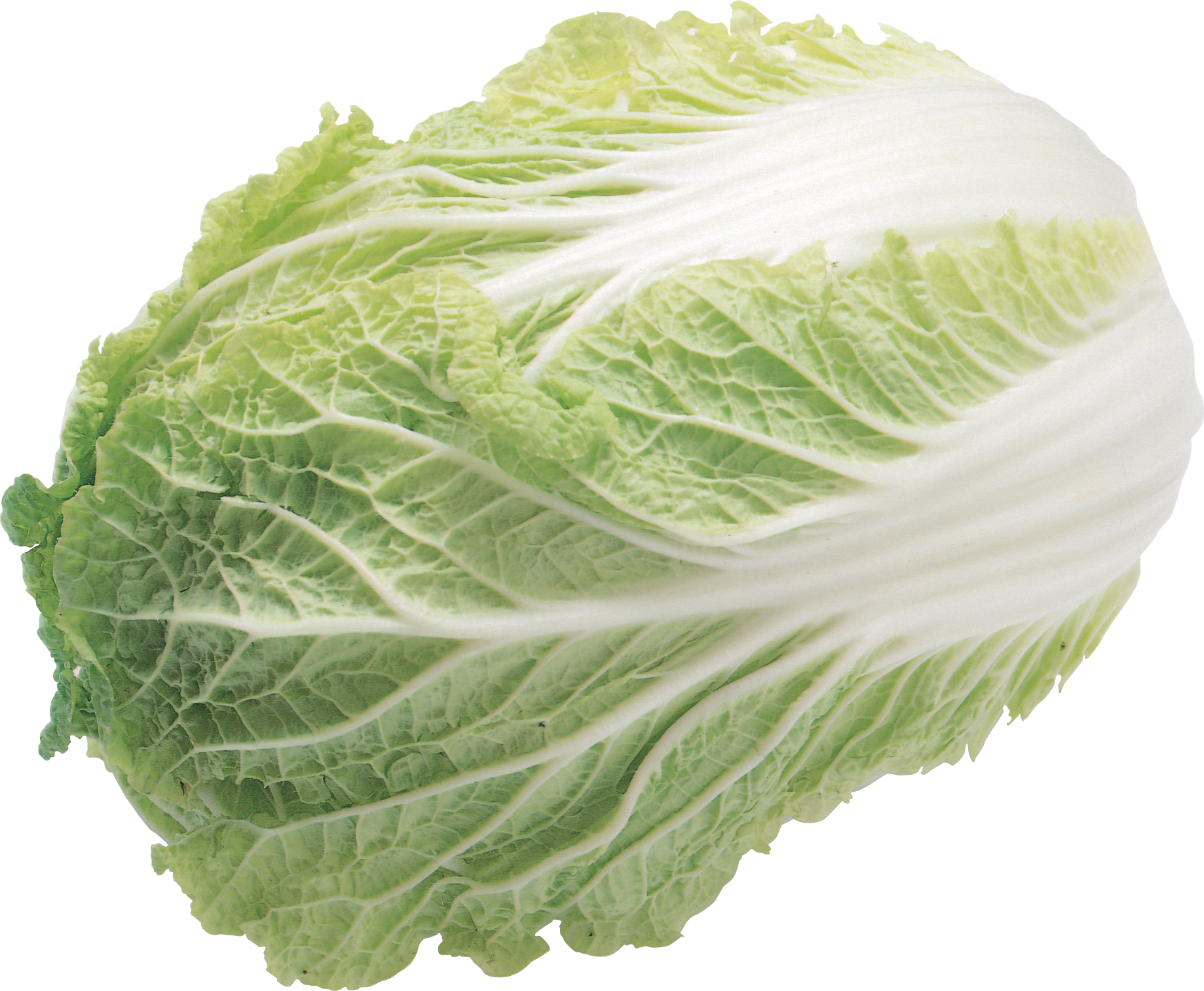 如何安全快速在线刷赞大白菜