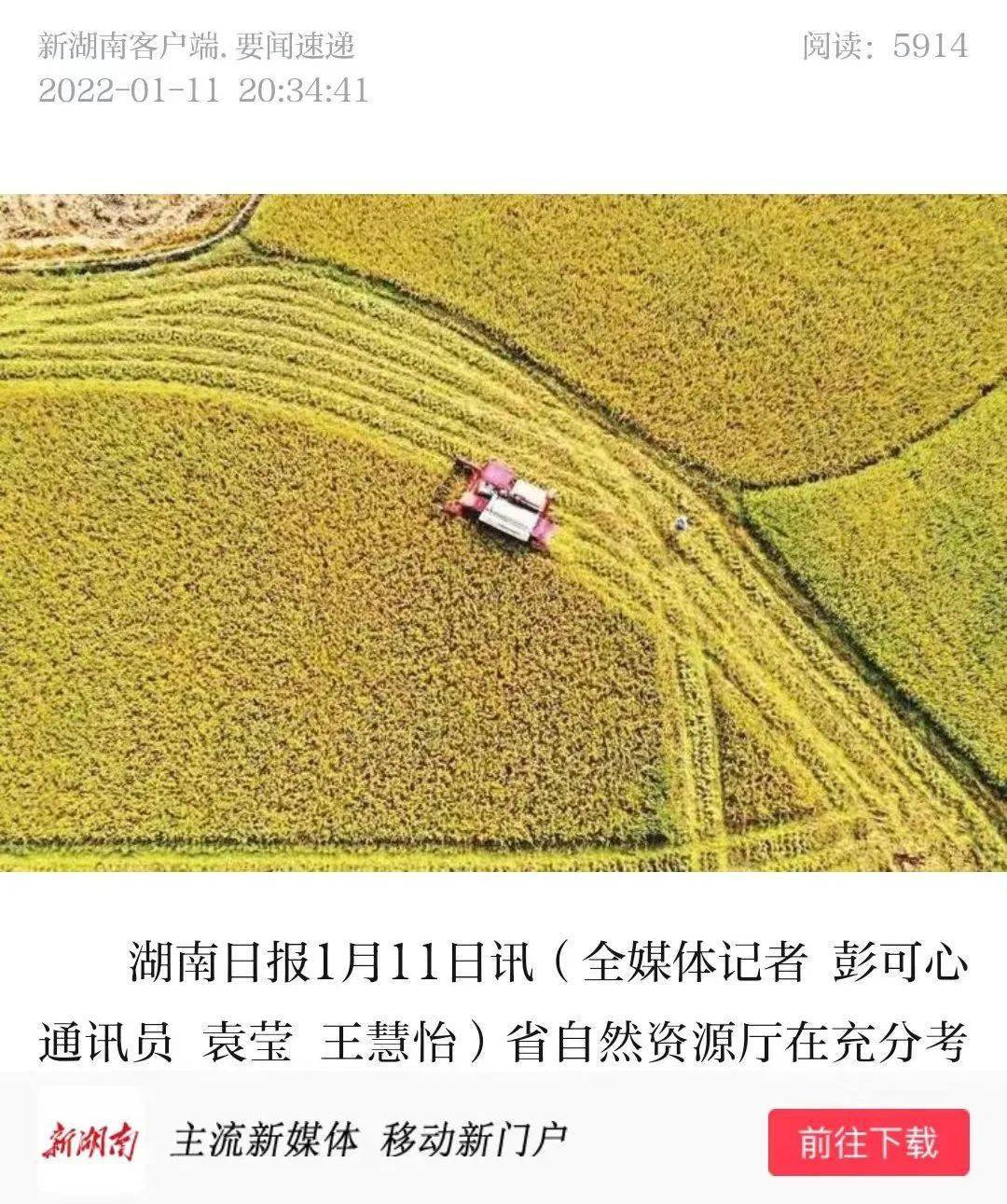 如何高效且自然地给别人刷点赞