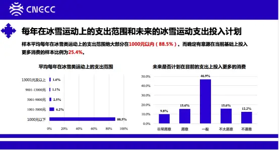 尘土科技刷赞行为在数字平台上如何影响用户参与度