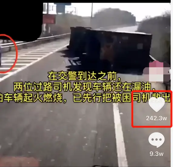 寻找专业刷赞服务网站这个平台能提供安全可靠的点赞增长吗用户真实反馈效果如何