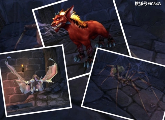 在魔兽世界中卡拉赞刷龙金团靠谱吗安全可靠吗