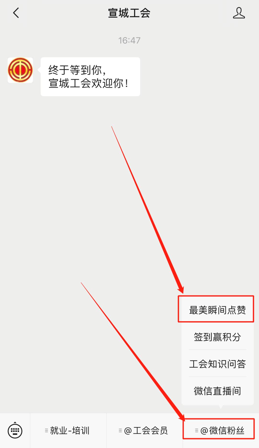 在美篇平台上刷转赞评是否有效助力内容传播
