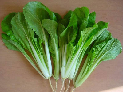 小白菜刷赞永久会员是真的吗
