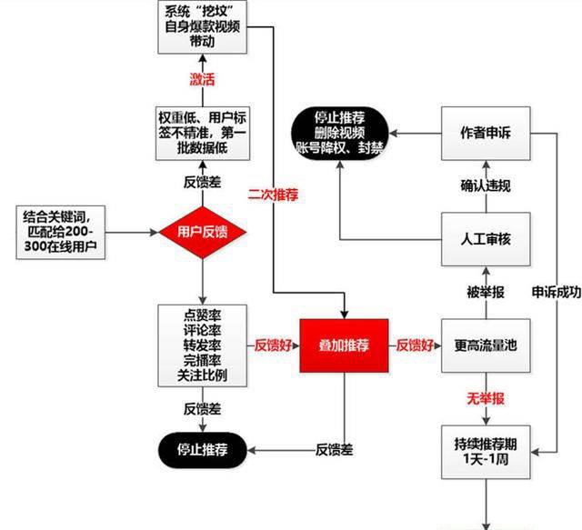 在抖音应用中用户通过浏览点赞内容如何增强平台算法推荐效果呢