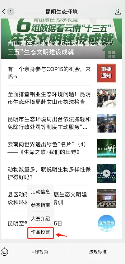 如何有效核查网络平台上的留言点赞和刷票现象