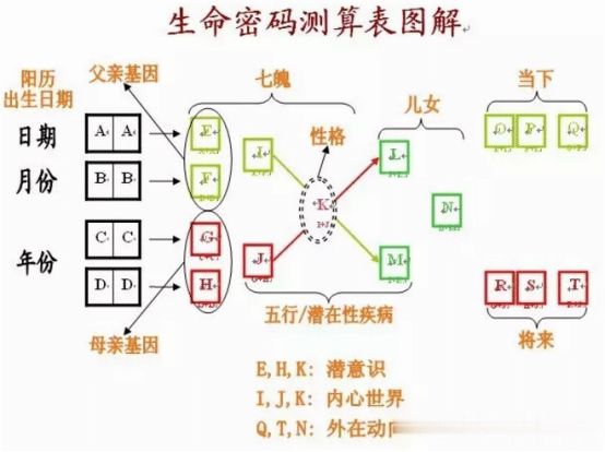 在数字时代能量战队刷赞的运作方式是什么