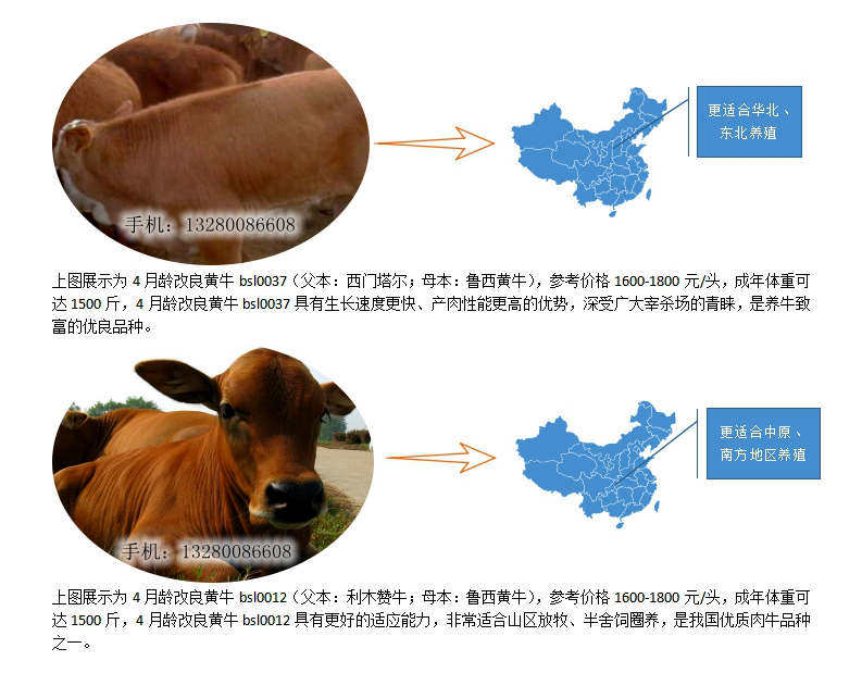 小牛刷赞现象的原因是什么