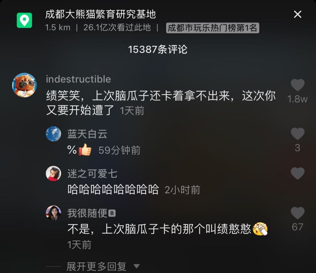 熊猫在抖音平台上刷赞的真实原因是什么