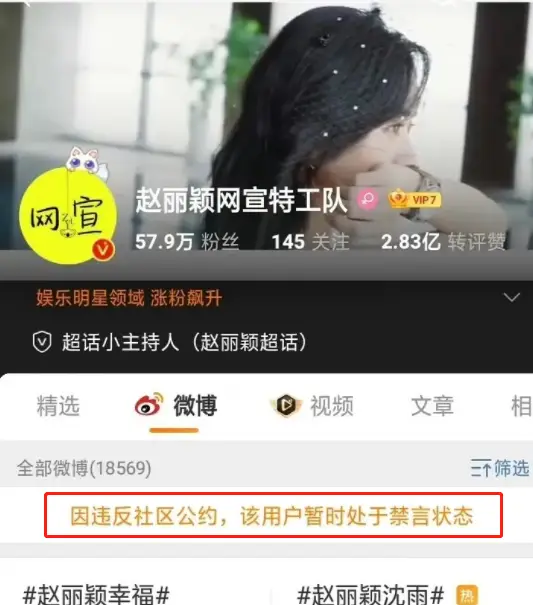 视频号刷赞为何会被禁言一天呢