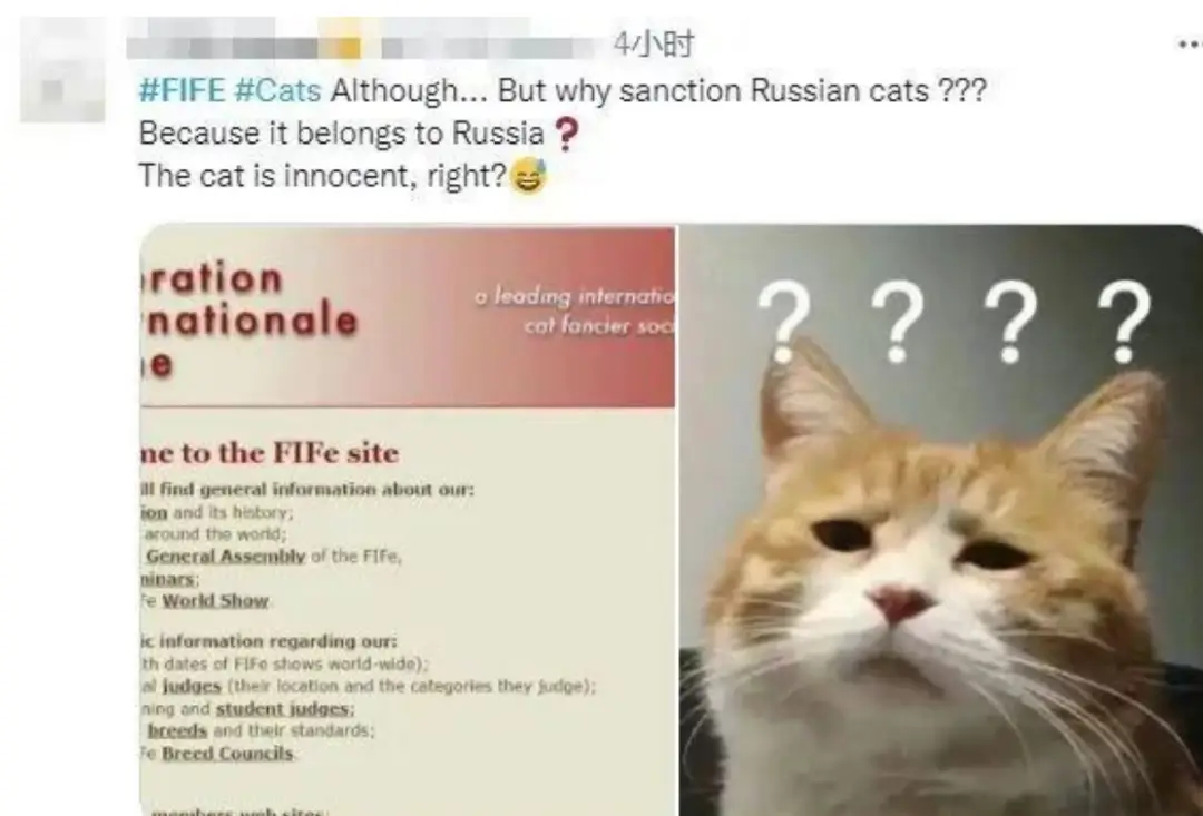 莱猫刷赞到底是什么它在社交网络中起什么作用