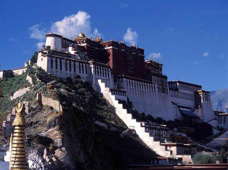 赞达拉宠物刷取地点在哪里