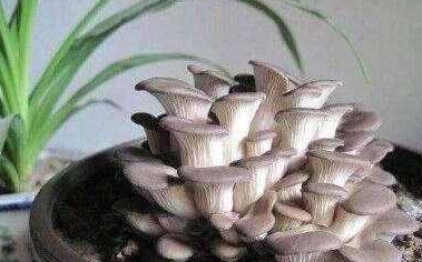 花3毛钱真能刷到1万赞吗