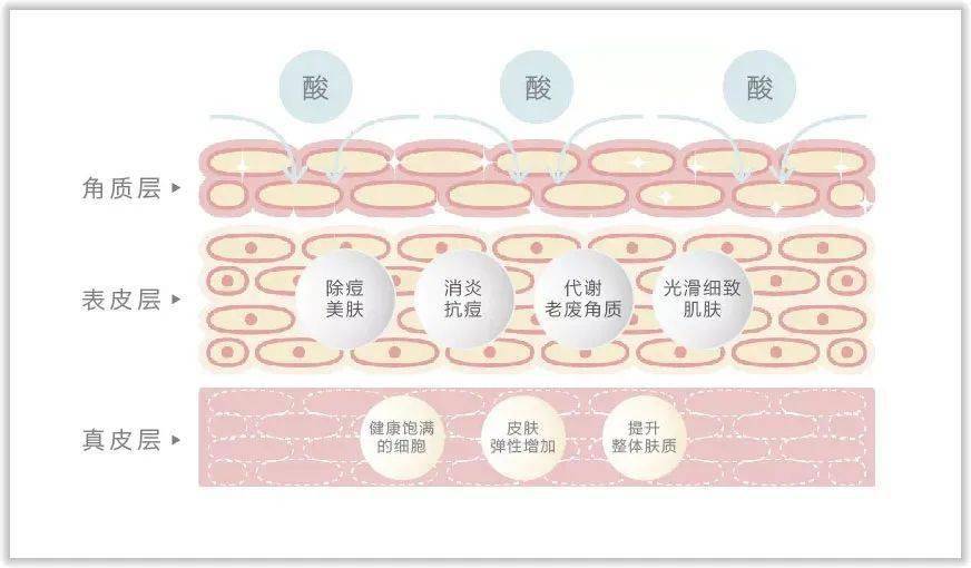 颤音刷粉刷赞是什么意思