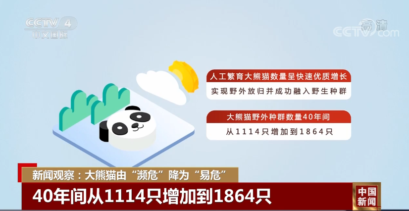 熊猫刷赞分站是否是一个可靠且高效的点赞服务平台