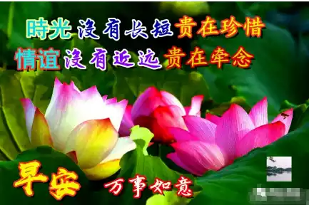 校晨刷赞平台如何改变学生早晨的社交互动方式