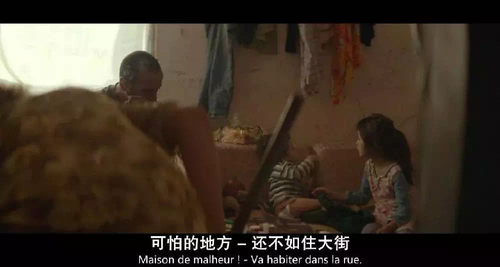 想知道赞恩皮条客在哪里可以刷到他的视频吗