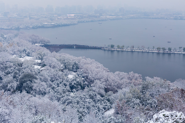 残雪网络工作室刷赞现象的利弊是什么