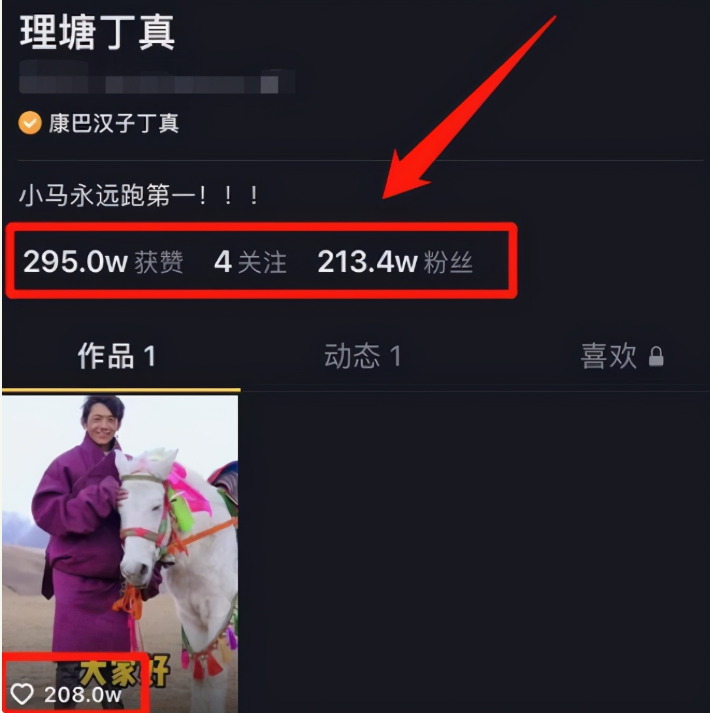 卡盟刷赞抖音真的能火吗