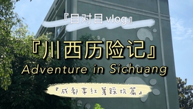 中州卡盟靠谱吗一探究竟避免踩坑