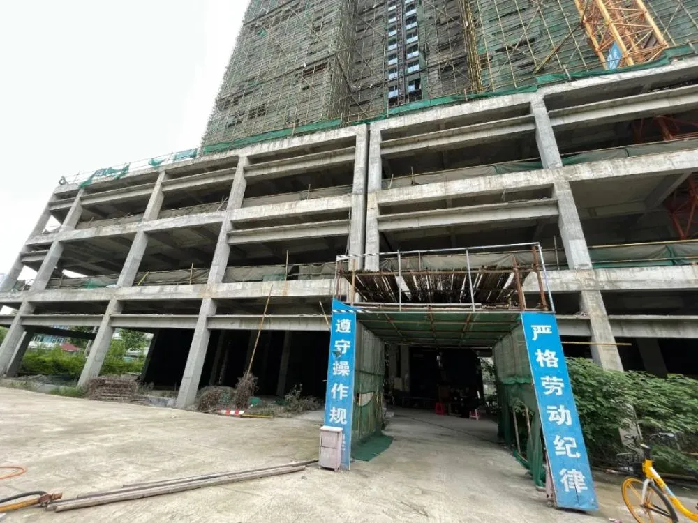 紫罗兰卡盟里哪个品牌值得买