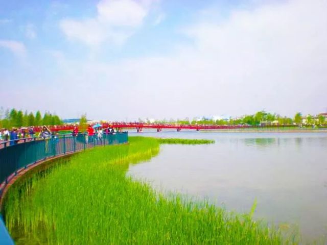百卡盟藏身何处揭秘网购新地标