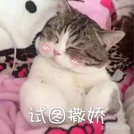 卡盟文创猫猫你的设计萌化人心了吗