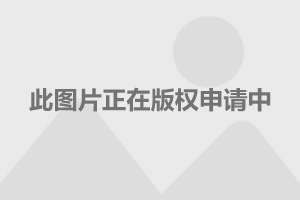 卡盟0手续费充值真的能省下一大笔