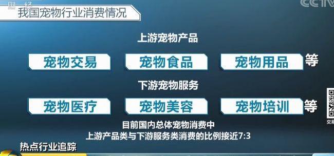卡盟最高级别利润有多高你知道吗